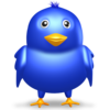 Twitter Bird Image